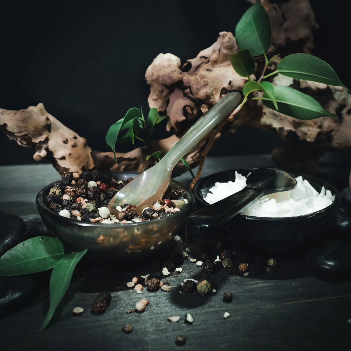 Horn salt and pepper bowl gift set with spoons, styled with botanical elements and white salt/pepper filling