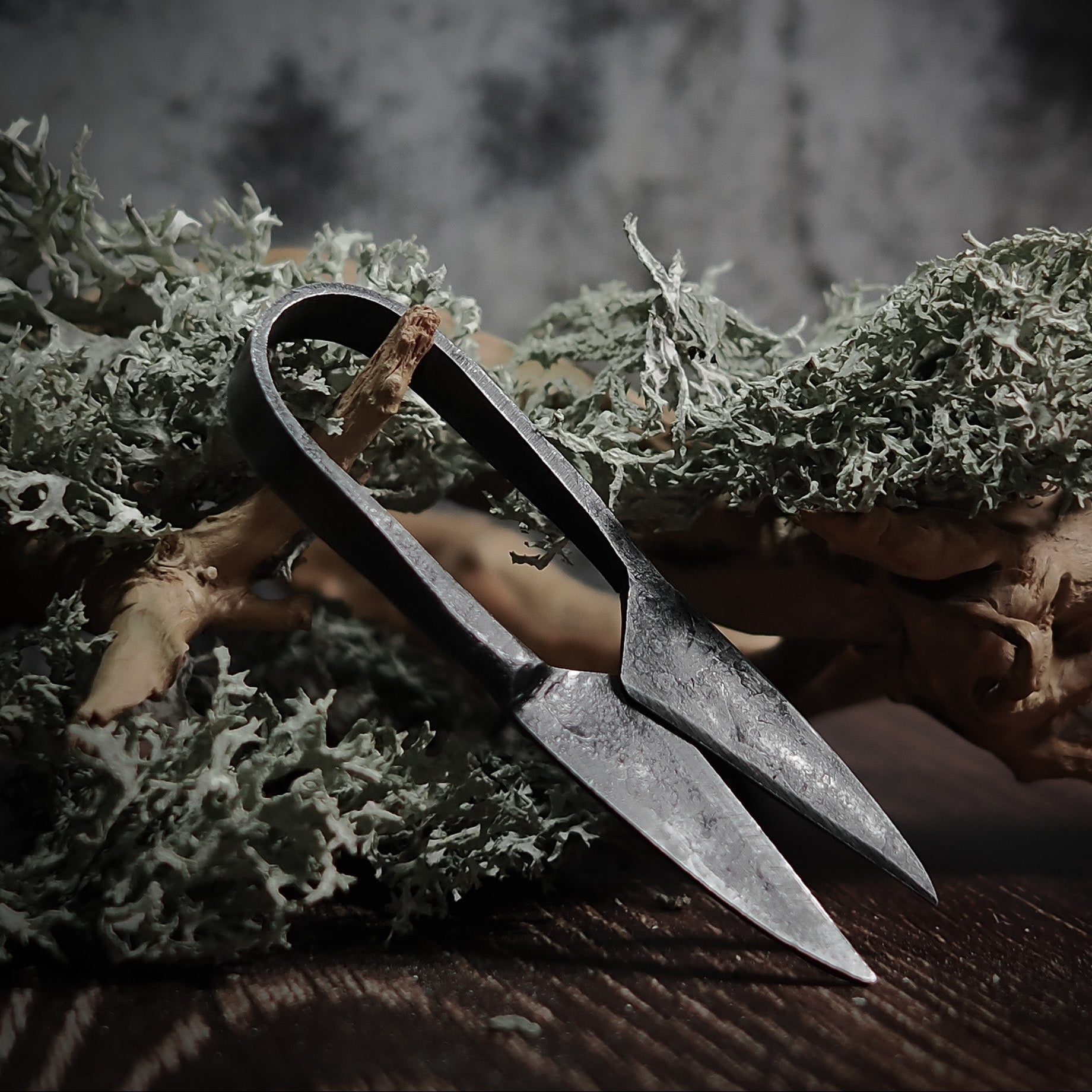 Vikinginspirerad örtsax (11.5cm), hand-smiddat återvunnet stål. Dubbel spets, naturlig oxidering, på mossa. Kökverktyg.