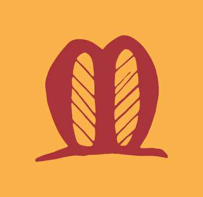 Nordlysviking sponsor