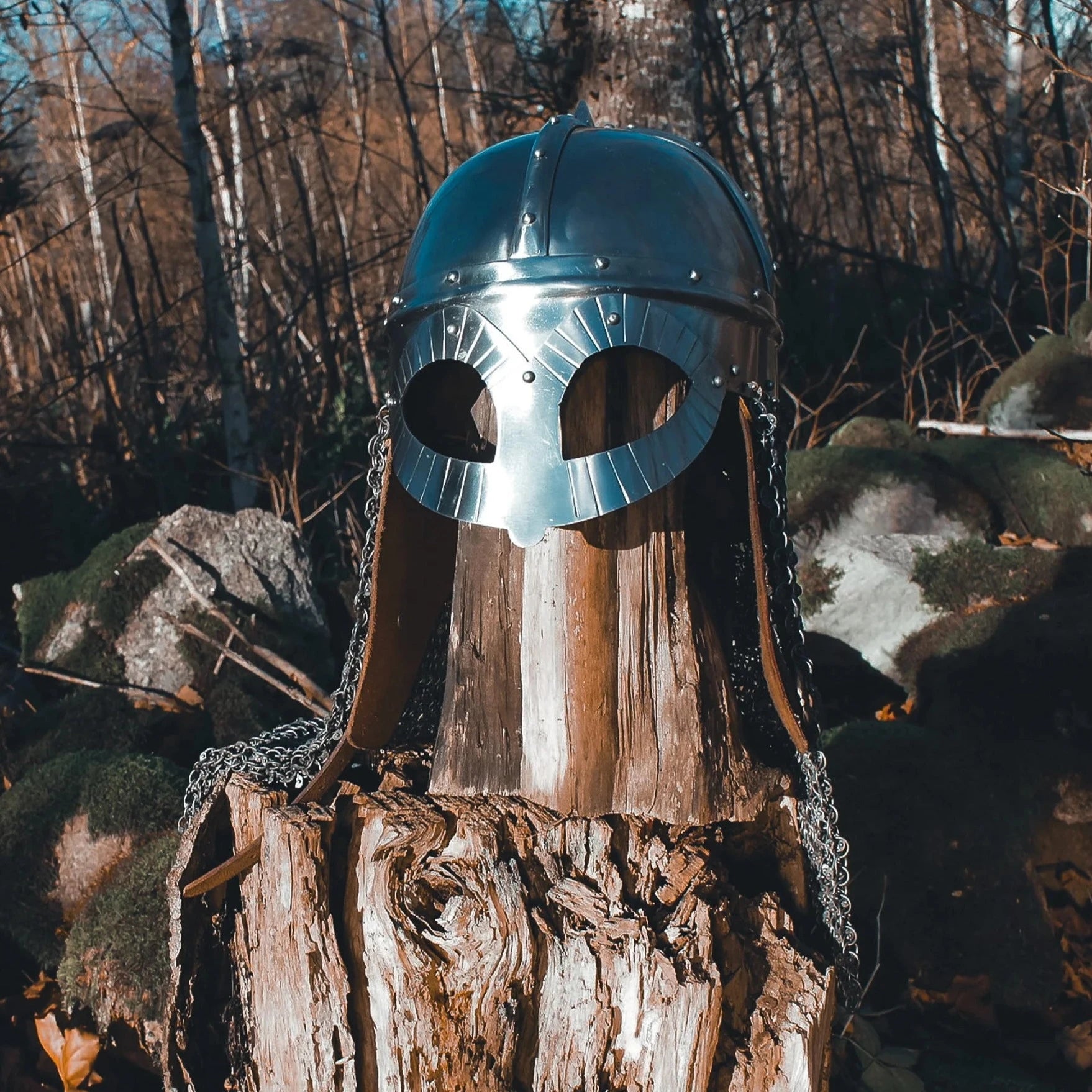 Vikingahjälm Gjermundbu - stålhjälm med polerad finish fotograferad mot trädstam