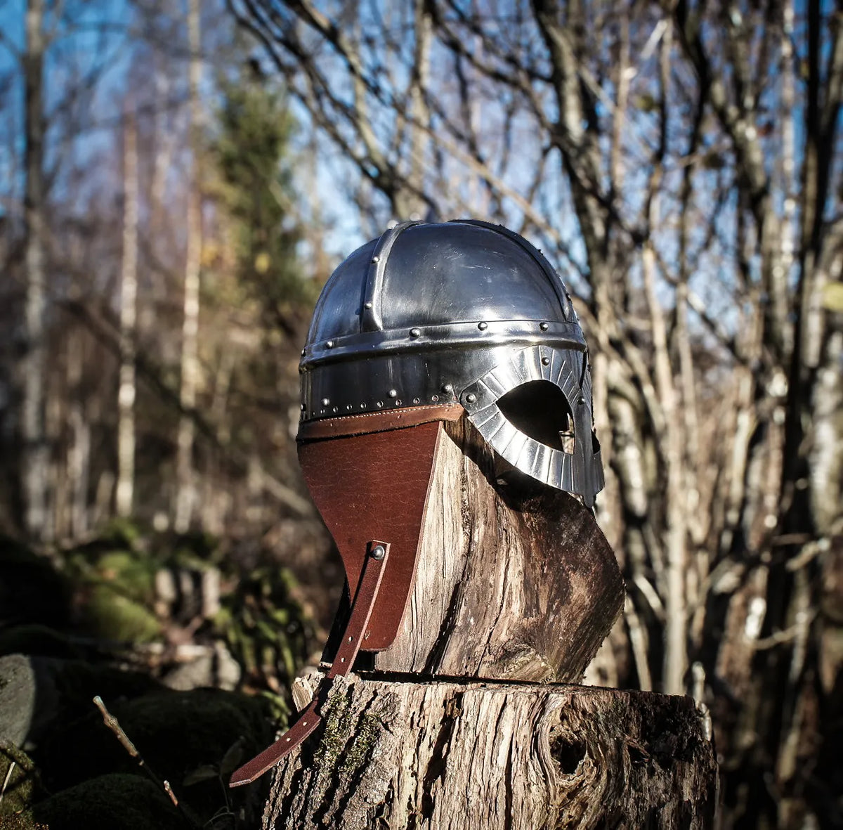 Gjermundbu vikingivehjælm