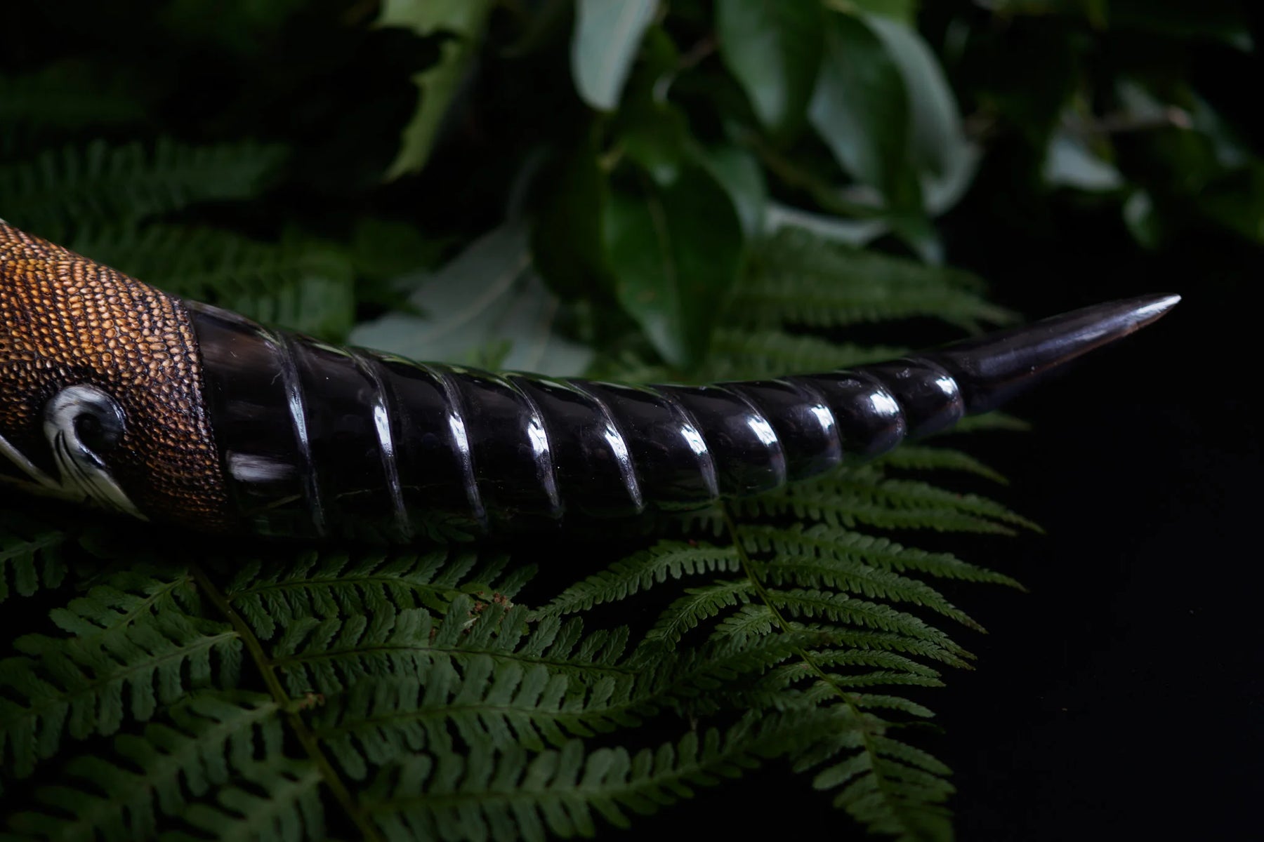 Sidovinkelbild av dryckeshornet på naturlig växtbädd, visar den graverade vikingaskeppets skuggdetaljer och hornets naturliga färgvariationer med mörkare och ljusare partier.