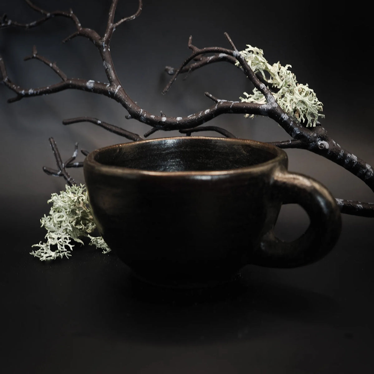 Svart eldad lerkoppar i Birka-inspirerad stil med glansig svart yta. Rund form med ögla-handtag. Omgiven av växt och mörk bakgrund för historisk atmosfär.