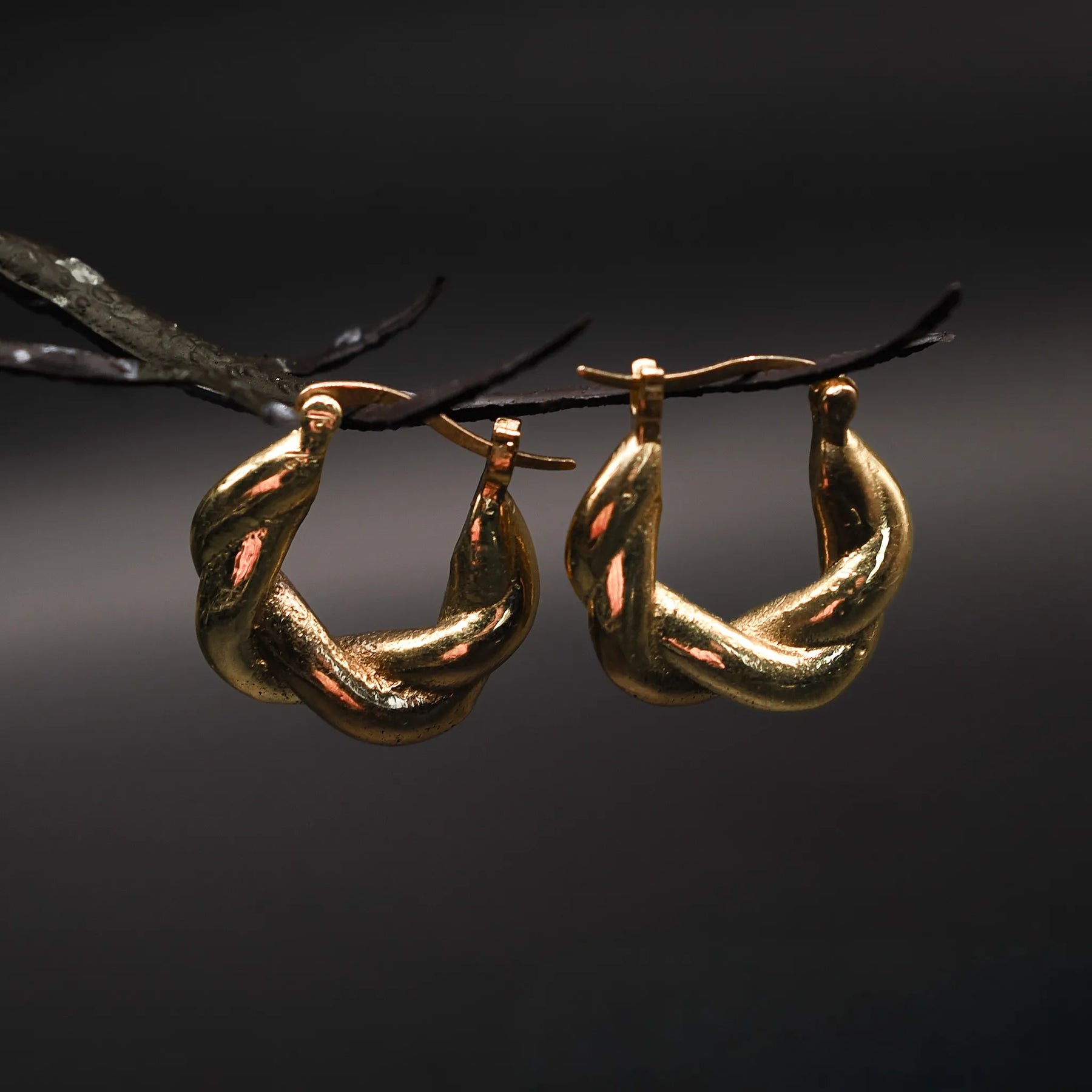 Par örhängen i flätad mässing med guldöverlagring, cirka 2 cm stora, upphängda på en mörk gren