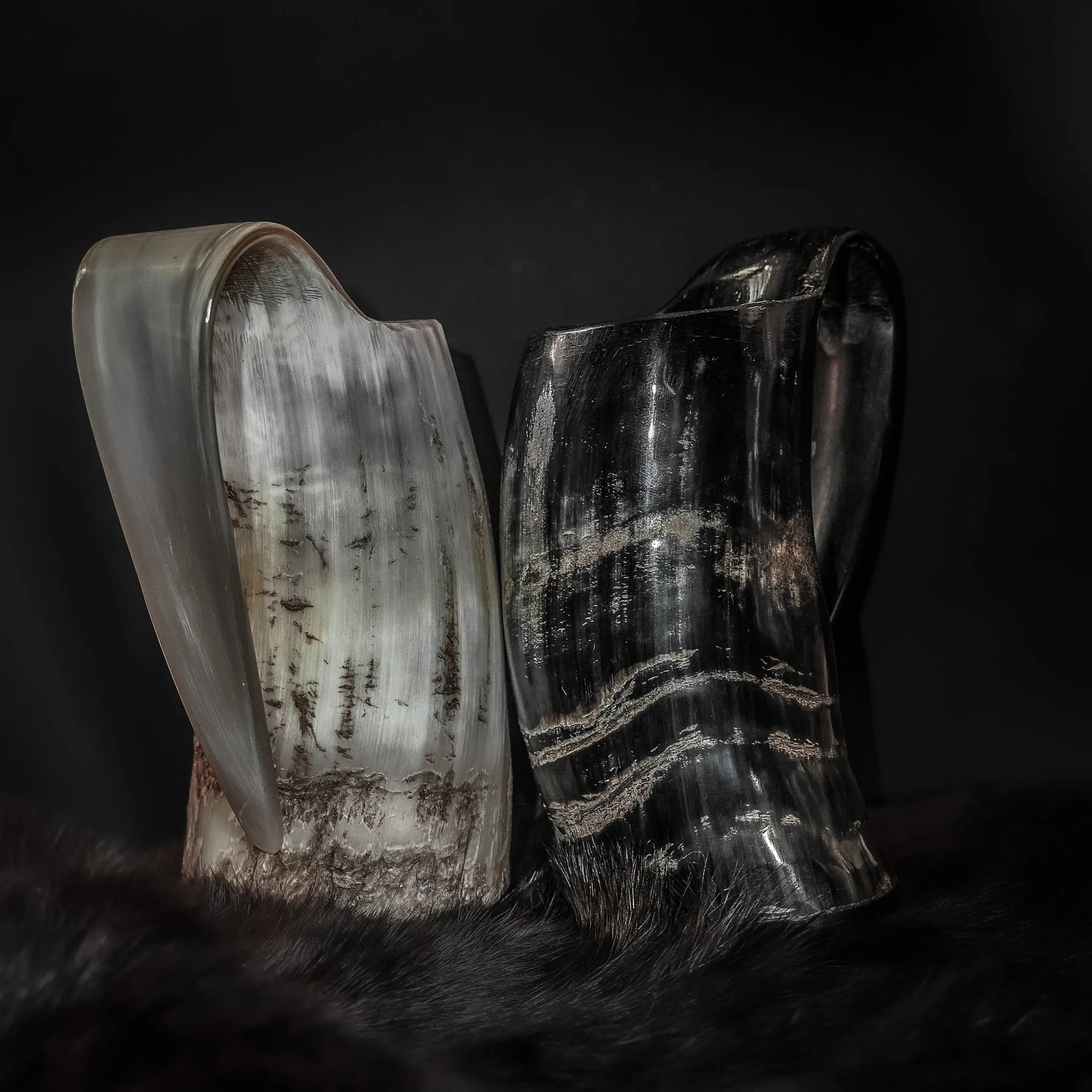 Två polerade hornmuggar (350ml). Vänstern med ljus finish, högern mörkare. Naturlig hornstruktur synlig under studiolampor mot mörk bakgrund.