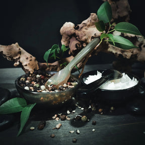 Horn salt and pepper bowl gift set with spoons, styled with botanical elements and white salt/pepper filling