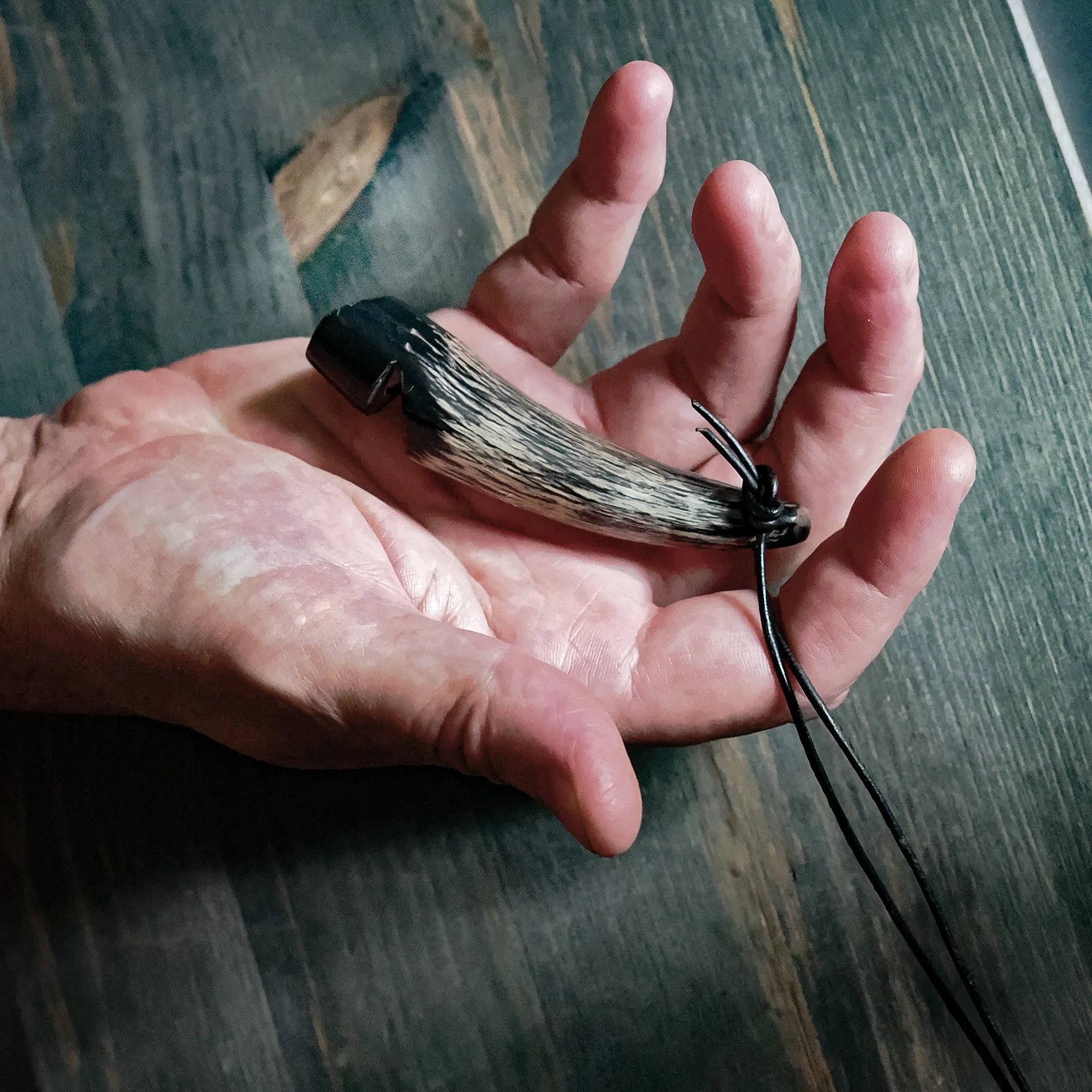 Detaljbild av visselpipan hållen i mänsklig hand, visar munstyckets design och korniga horn-struktur. Vita ben- eller älghorns-tips för kontrast. Svart lädersnöre synligt. Visar den hantverk-gjorda kvaliteten och praktisk storlek.