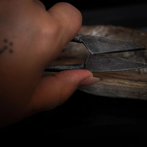 Large herb shears – held in hand, close-up of the open blades