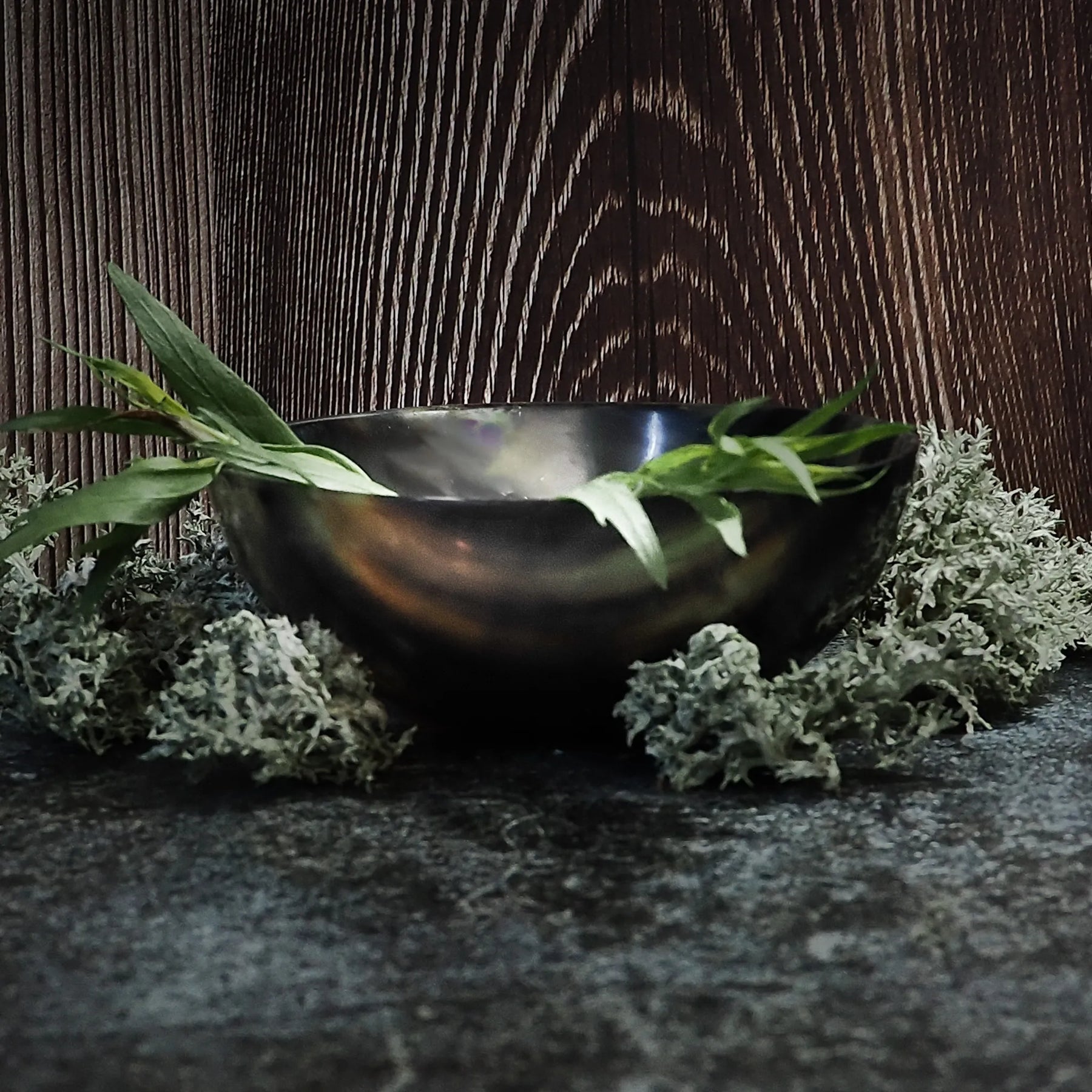 Rund Hornskål, vikinghorn för drickande visat från sidan. Visar det naturliga hornet.