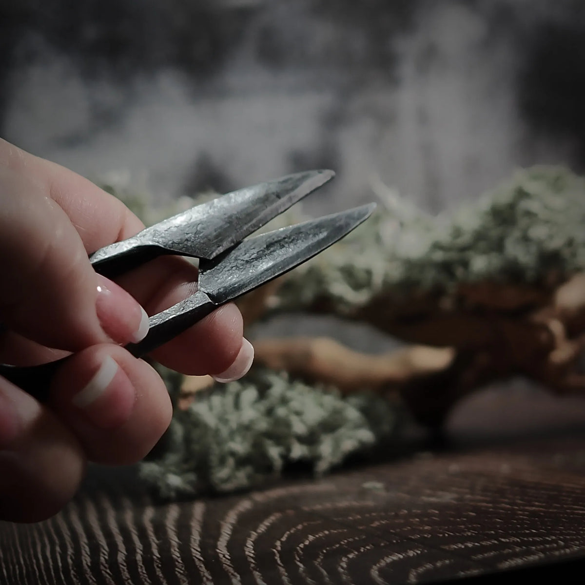 Liten Örtsax och Skäggsax i handsmedd återvunnen stål, öppnad position visar korsade blad och skarpa spetsar, Viking-era form, på mossklädd ved