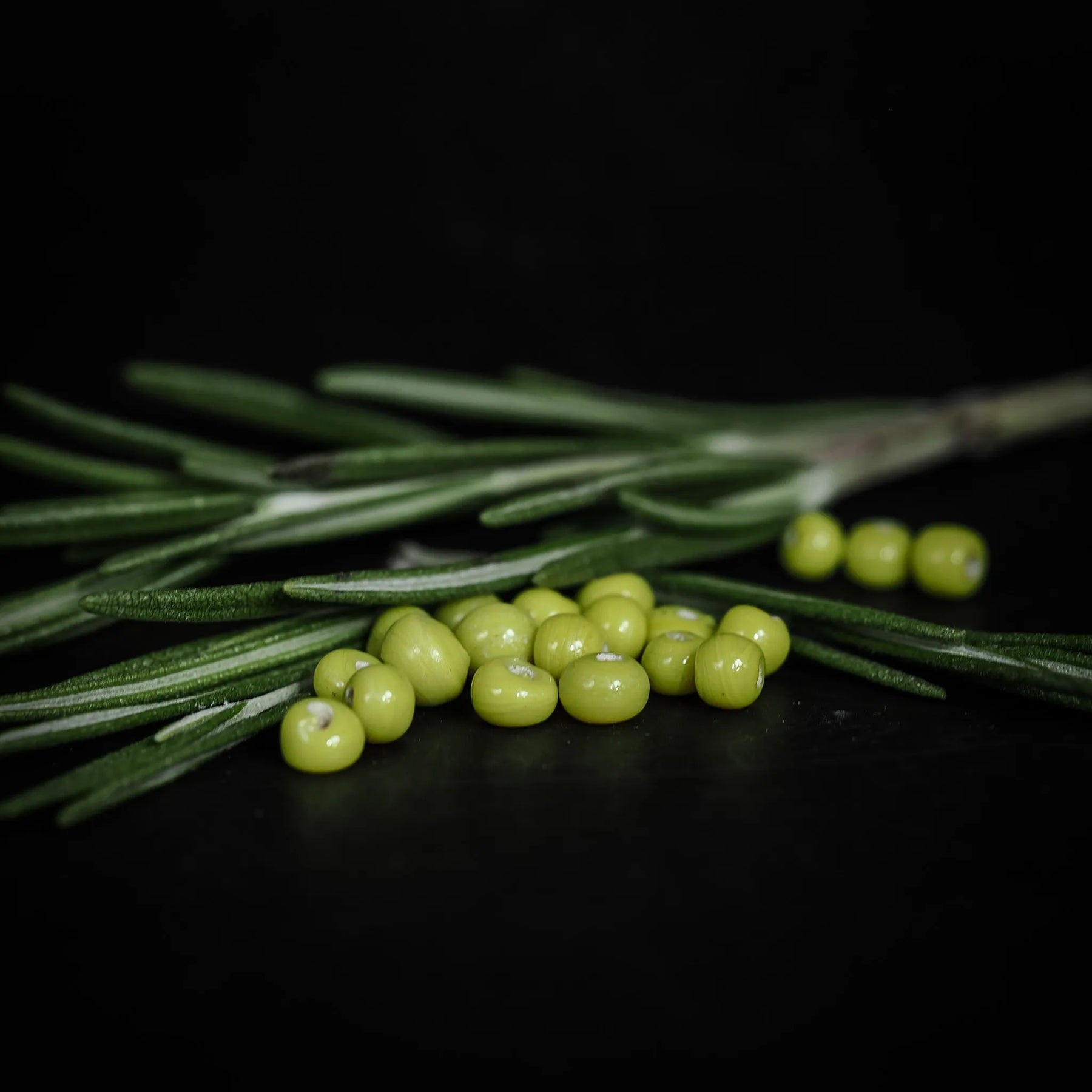 Handgjorda små limegröna glaspärlor, cirka 4mm diameter, med hål för fiskelina. Liggande på gröna barrgrenar mot mörk bakgrund.