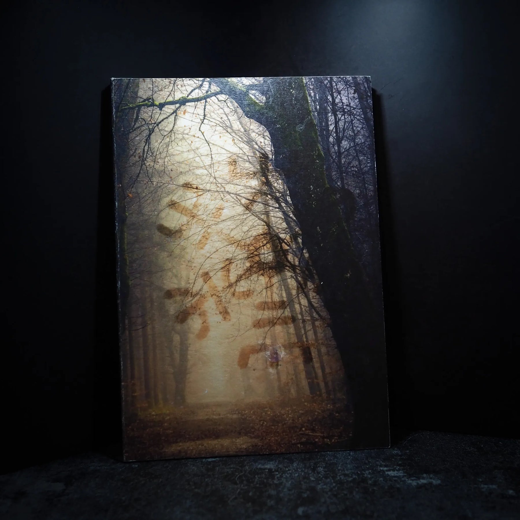 Målarbok A4 framsida med skogsstig omgiven av höstlöv och trädkronor, varm dagsljus filtrerat genom träd