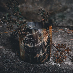 Whiskyglas i naturlig horn med organisk textur och jordiga färgtoner, omgivet av torkade växter