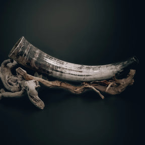 Blåshorn - Vikingainstrument av naturligt horn med snidad banddekoration. Hornet visar naturlig färggradering och är monterat på driftved med en metallmunstycke synlig. Autentisk handarbetad karaktär tydlig.