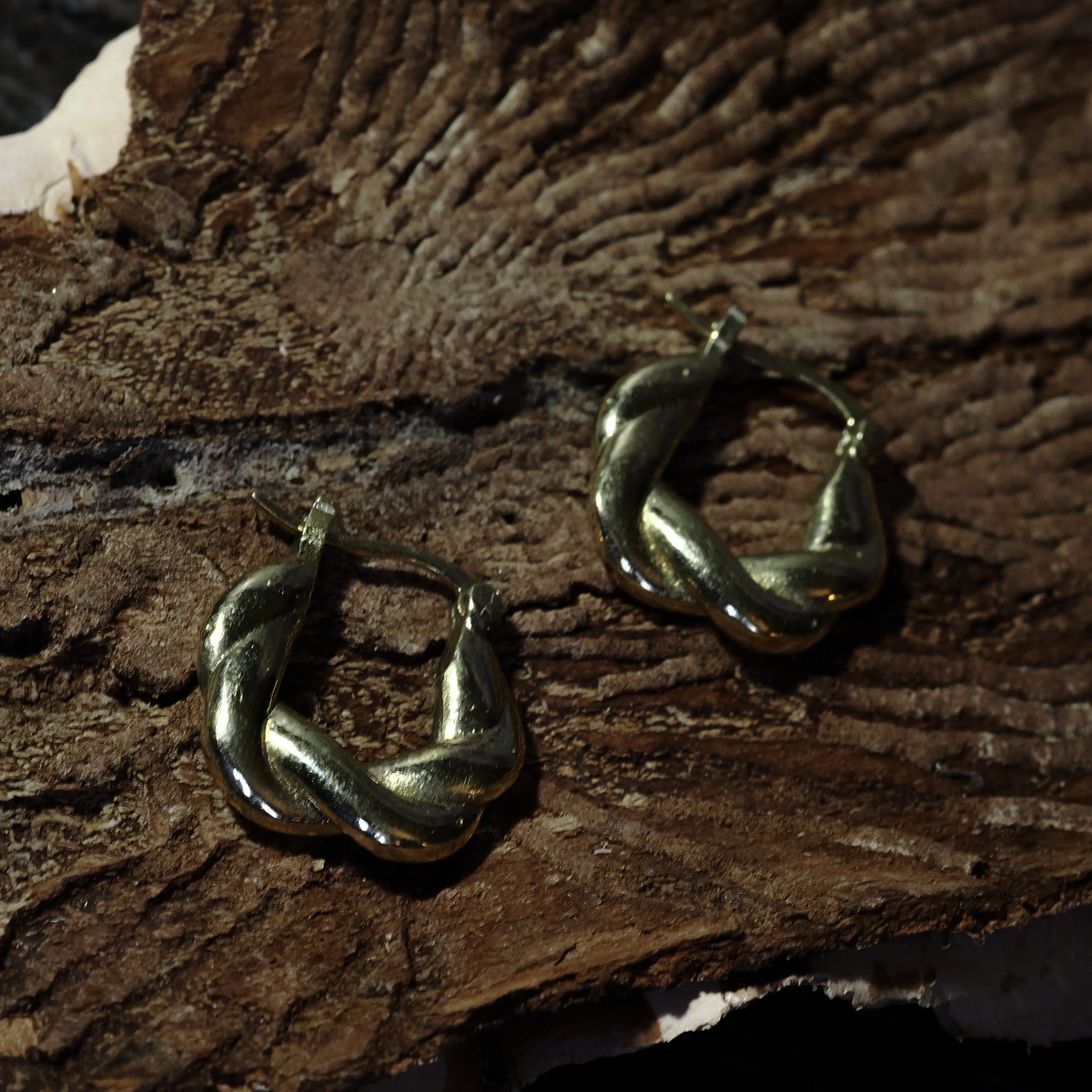 Par örhängen i guldöverlagring flätad mässing på träbas med lav, cirka 2 cm stora