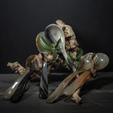 Matskedar i horn, set med 6 stycken. Sex naturliga hornkedar i varierande amber till bruntoner arrangerade med gnarriga naturgrenar och grönska mot mörkbakgrund. Visar traditionell Island vinkingdesign och hantverk, professionell presentationsfoto.