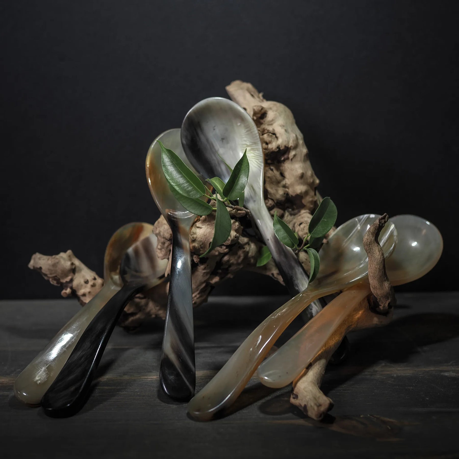 Matskedar i horn, set med 6 stycken. Sex naturliga hornkedar i varierande amber till bruntoner arrangerade med gnarriga naturgrenar och grönska mot mörkbakgrund. Visar traditionell Island vinkingdesign och hantverk, professionell presentationsfoto.