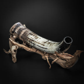 Blåshorn - Ett vikingainstrument tillverkat av naturligt djurhorn. Hornet visar naturlig färggradering från cremevit till svart och är försett med snidade bandmönster och en metallmunstycke. Monterat på drivved.