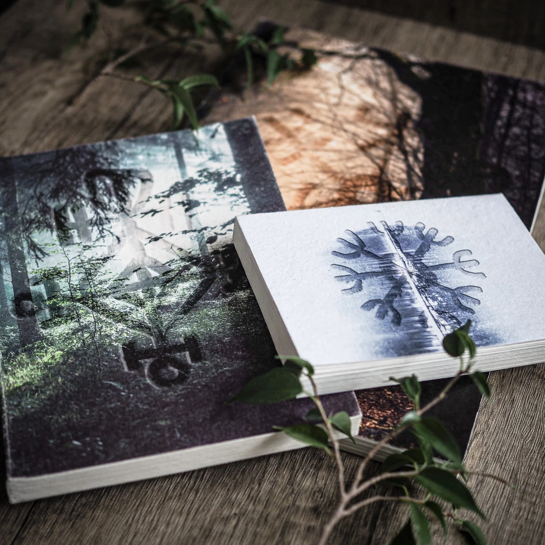 Öppen målarbok med blå Vegvisir-illustration och skogsspegeling, omgiven av gröna växtskott på trä