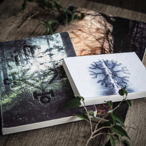 Öppen målarbok med blå Vegvisir-illustration och skogsspegeling, omgiven av gröna växtskott på trä