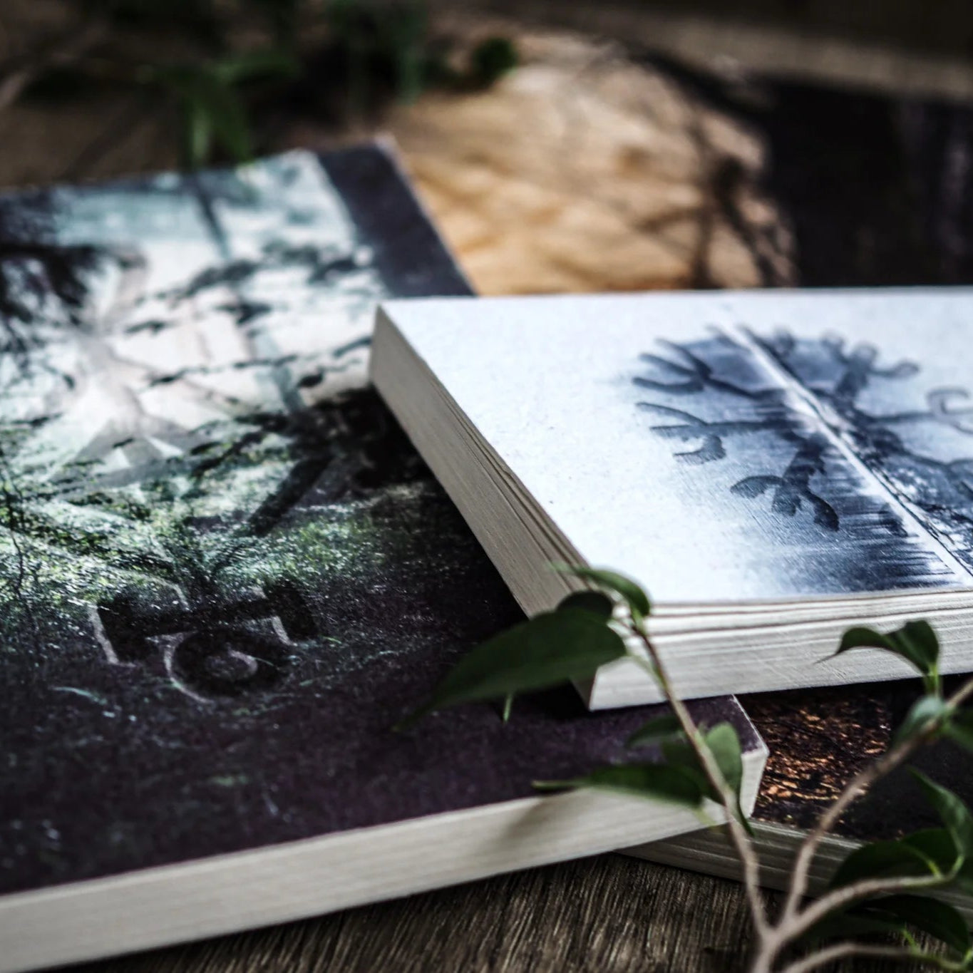 Målarbok A6 med Skyddsruna Aegishjalmur flatlay-fotografi. Boken är öppen och visar blå vinterskog-illustration omgiven av grönska på mörk bakgrund, professionell presentationsfoto.