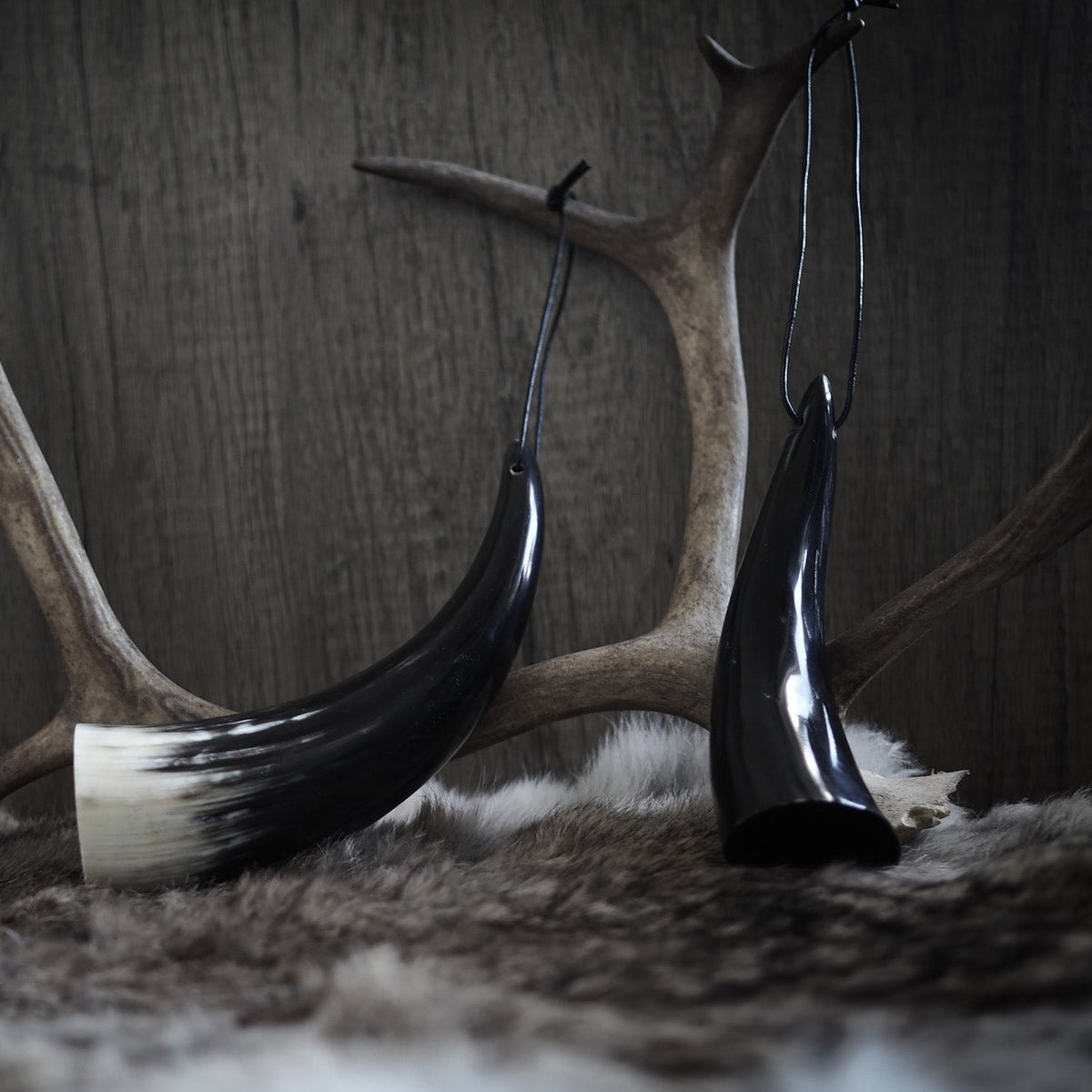 Litet horn med läderband, hängande på person i bruna byxor. Handgjort från ko med naturlig kornstruktur och lackerad mörk insida.