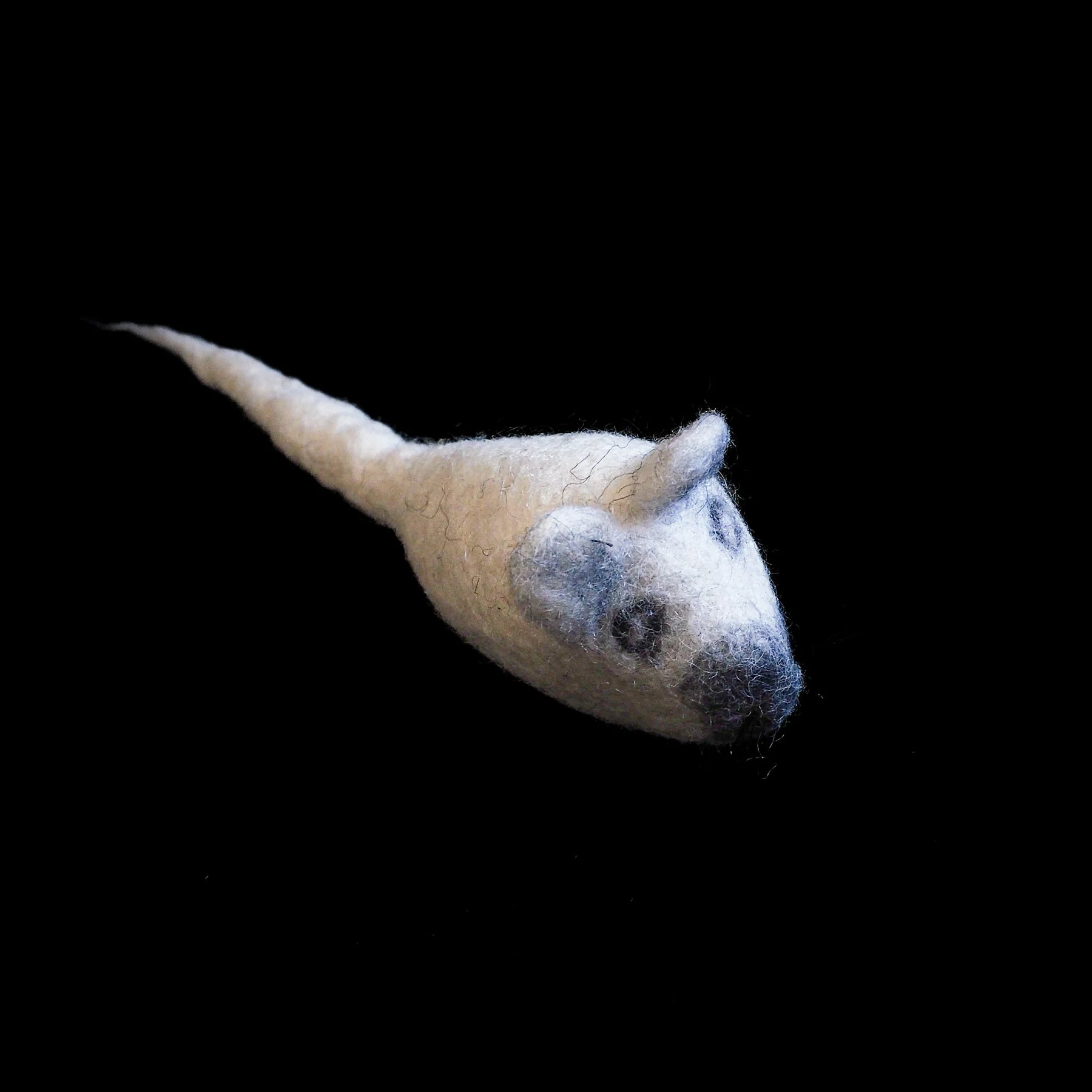 Tovad mus i ull, liten tovad mus i ull.