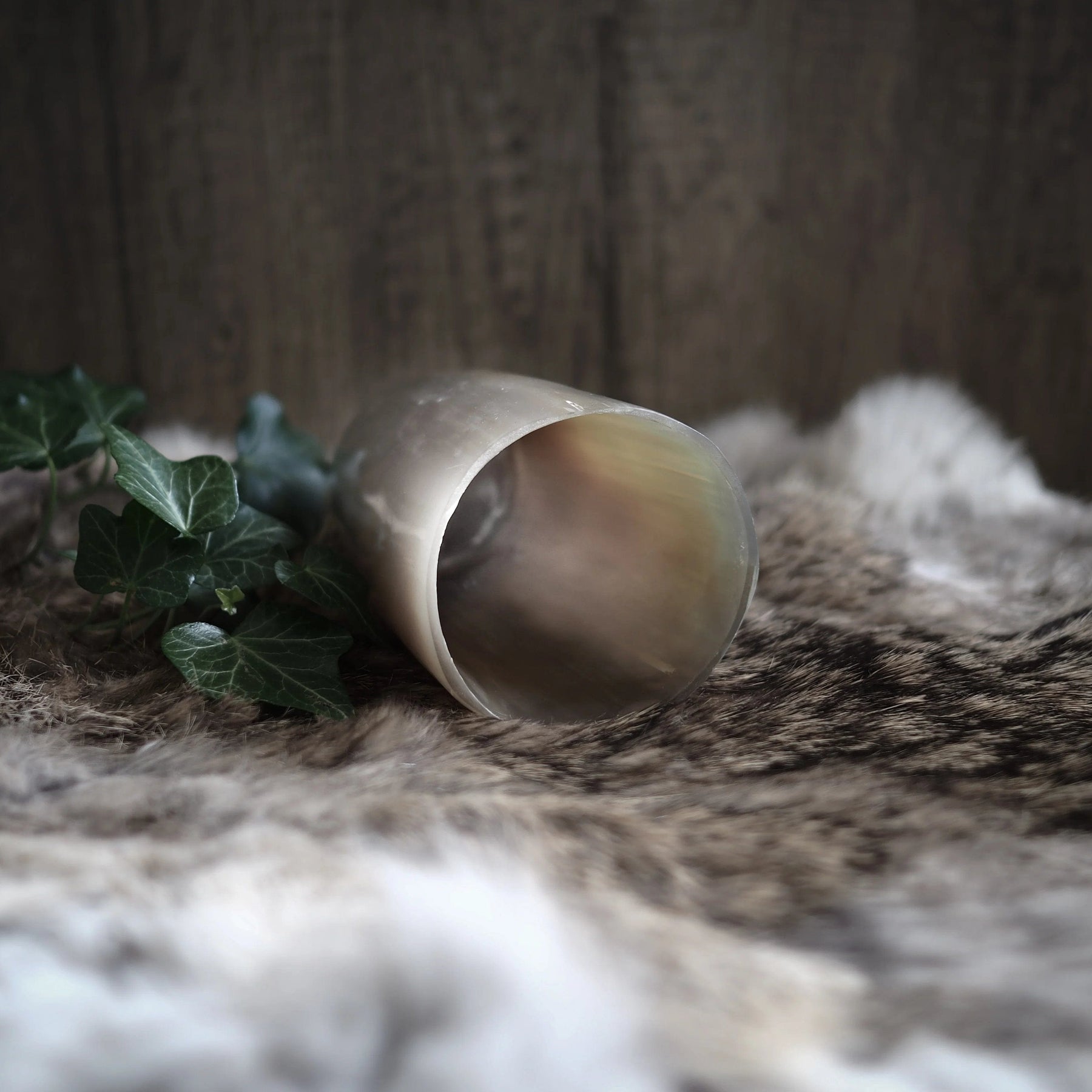 Detaljbild av vinglas av horn, 250 ml, visar den öppna mynningen och den genomskinliga horn-kroppen. Polerad glasklar insida med varmt beige och bärnstenfärgat horn. Naturlig styling i bakgrunden.