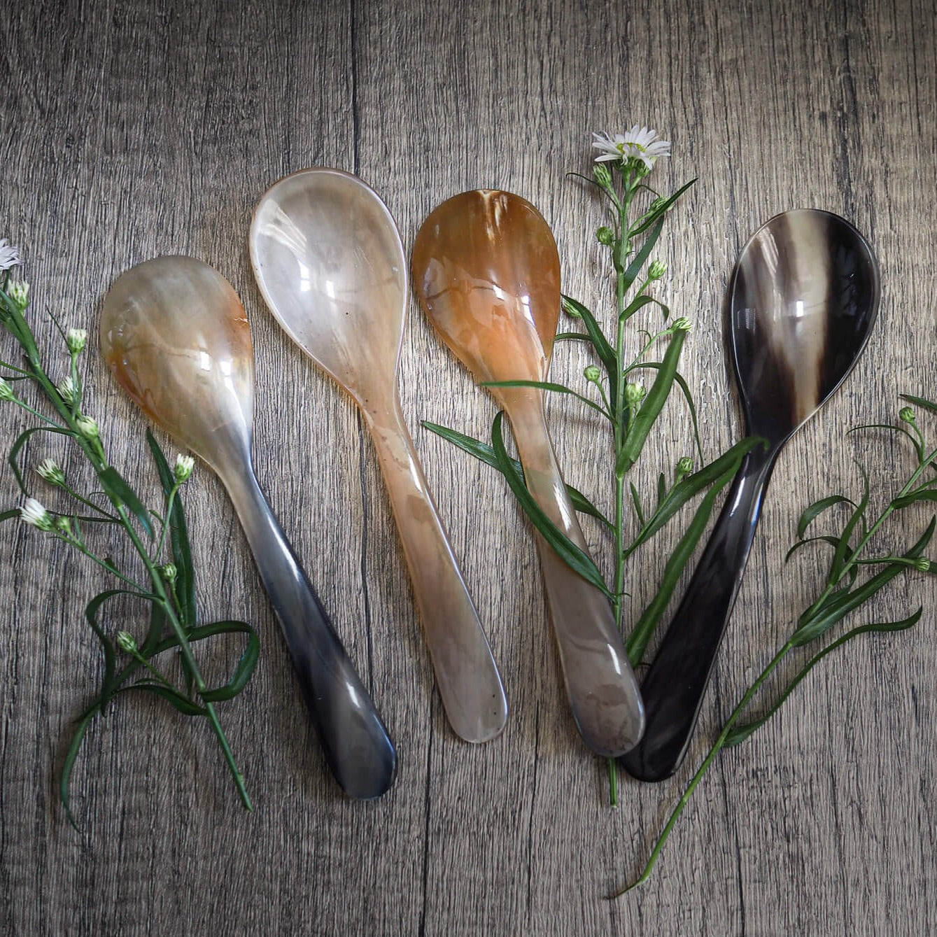 Fem matskedar i horn med varierande naturlig färg från ljus kräm till mörkbrun, arrangerade på grå träyta med gröna örter