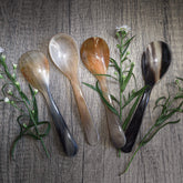 Fem matskedar i horn med varierande naturlig färg från ljus kräm till mörkbrun, arrangerade på grå träyta med gröna örter