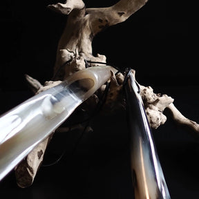 Skohorn i horn, spetsig, läder.