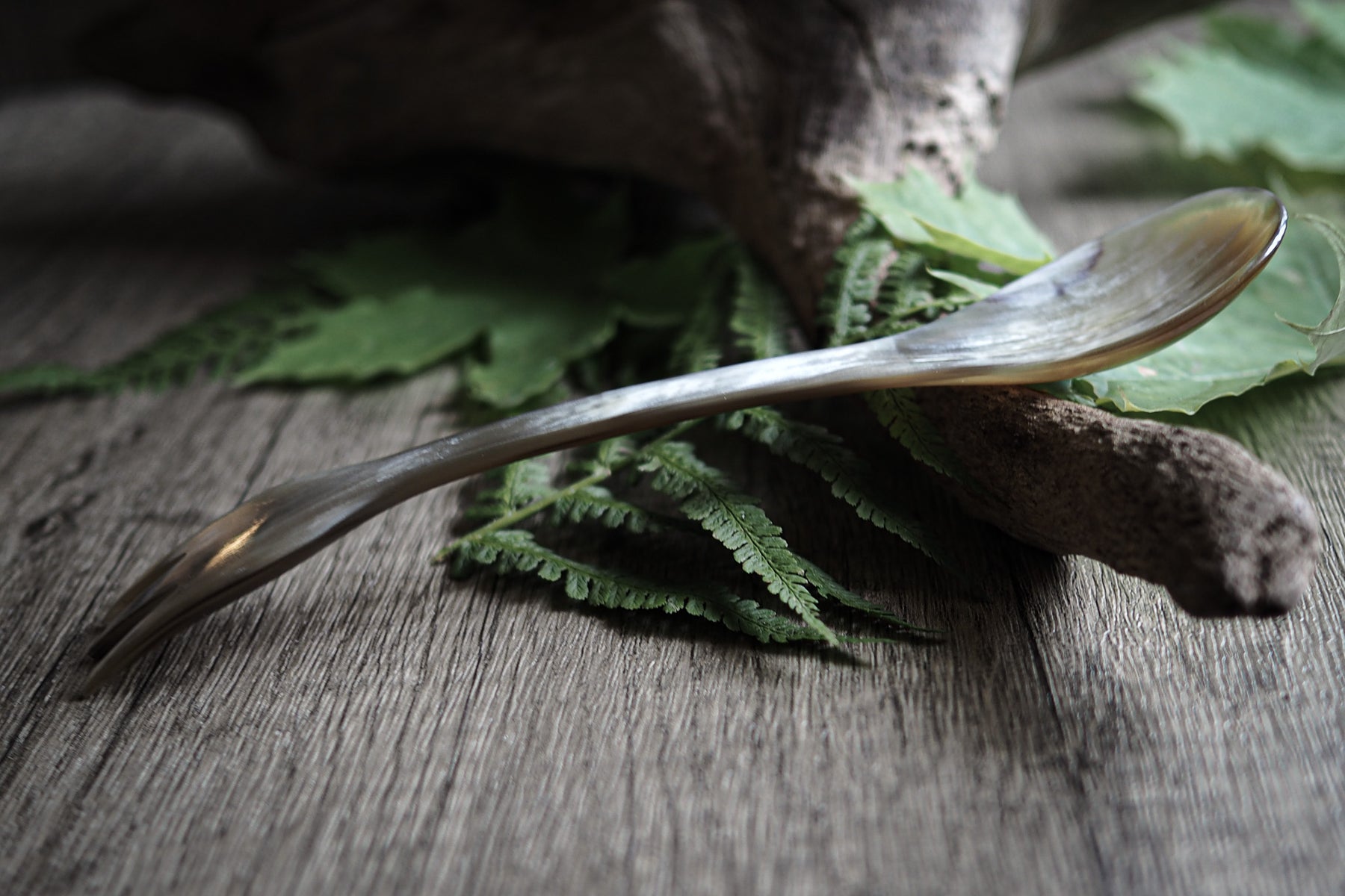Ljus oxhorn-spork med gaffol och skalkis på mörkare yta med gröna ormbunksvippor. Naturligt hornmaterial med synliga ådringar. Camping- och köksutensilering.