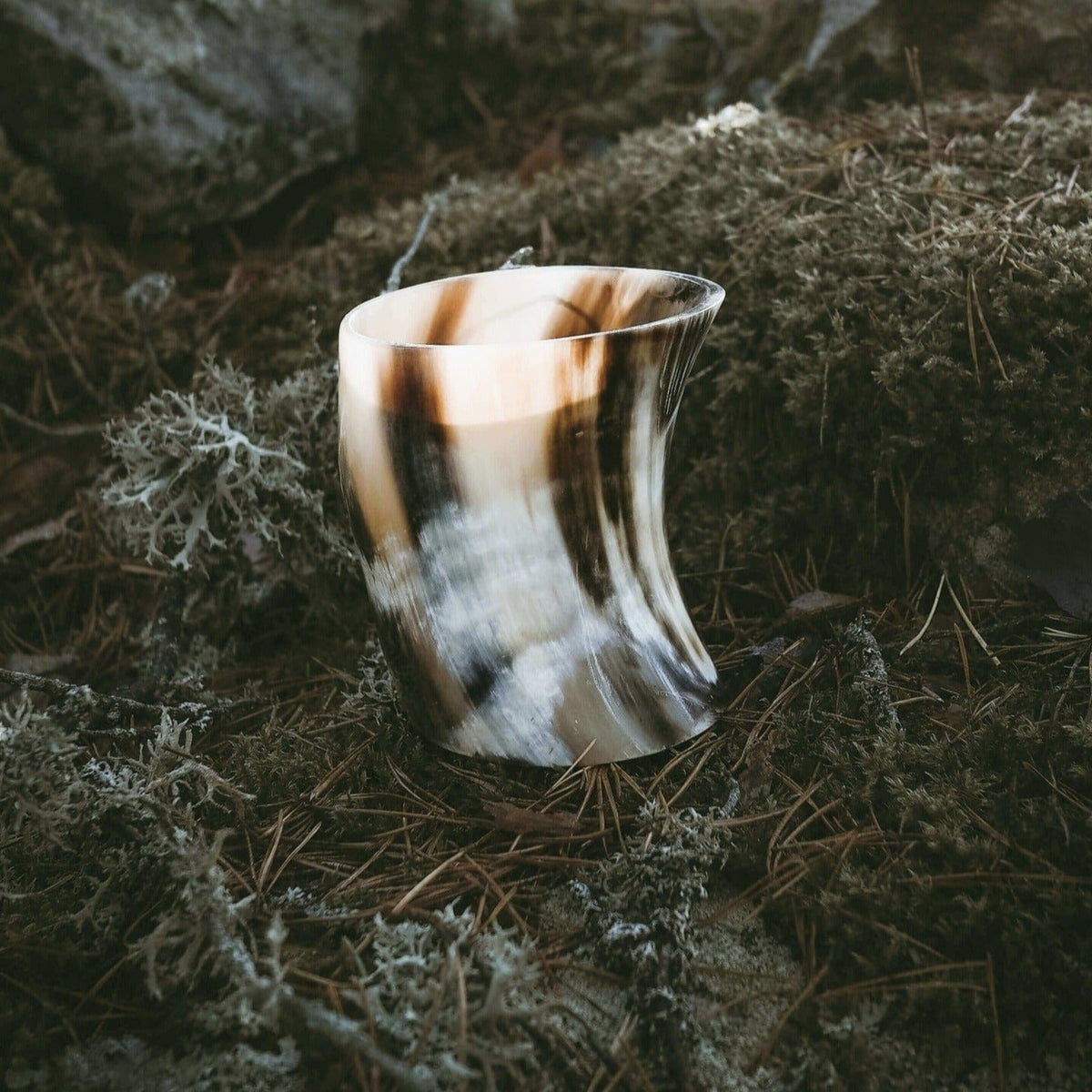En stor grogglas av naturligt horn fotograferad på mosbunden mark. Hornet visar naturliga färger i kräm, brunt och grått med karakteristiska strimmor.