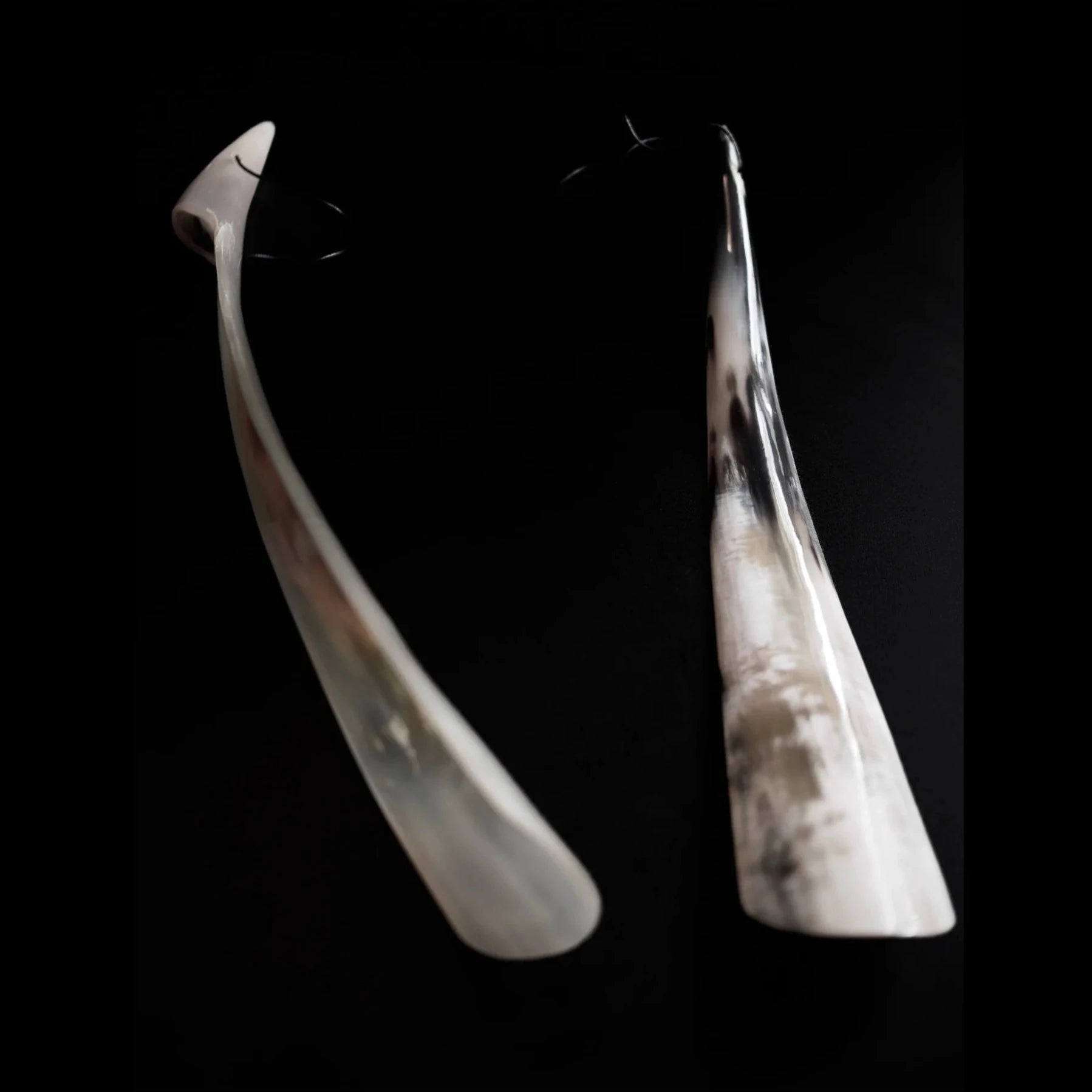 Skohorn i horn, spetsig, mot mörk bakgrund.