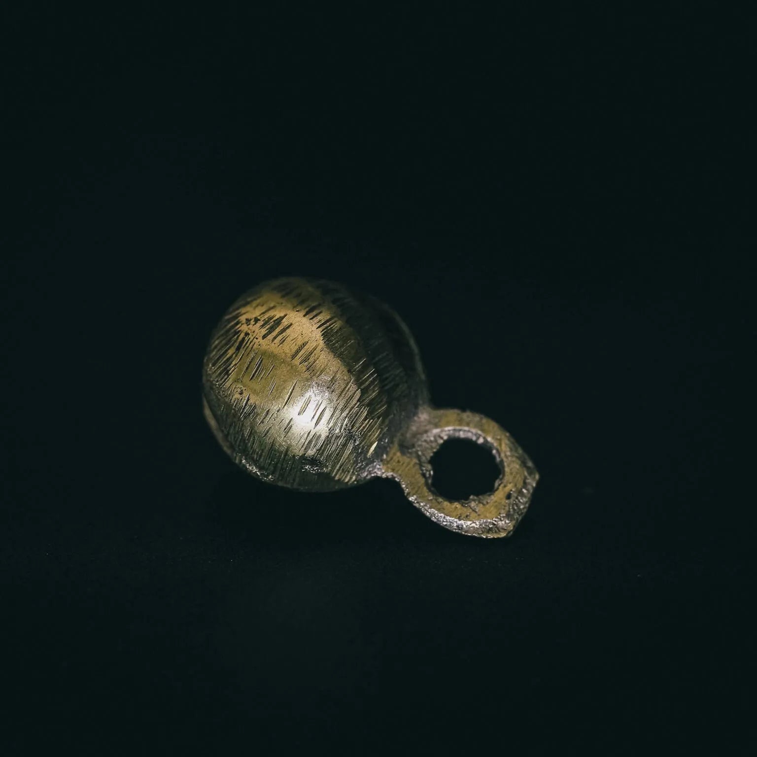 Mässingbjällra Rispig i sidperspektiv med subtil belysning som framhäver texturen på de radala graverade linjerna