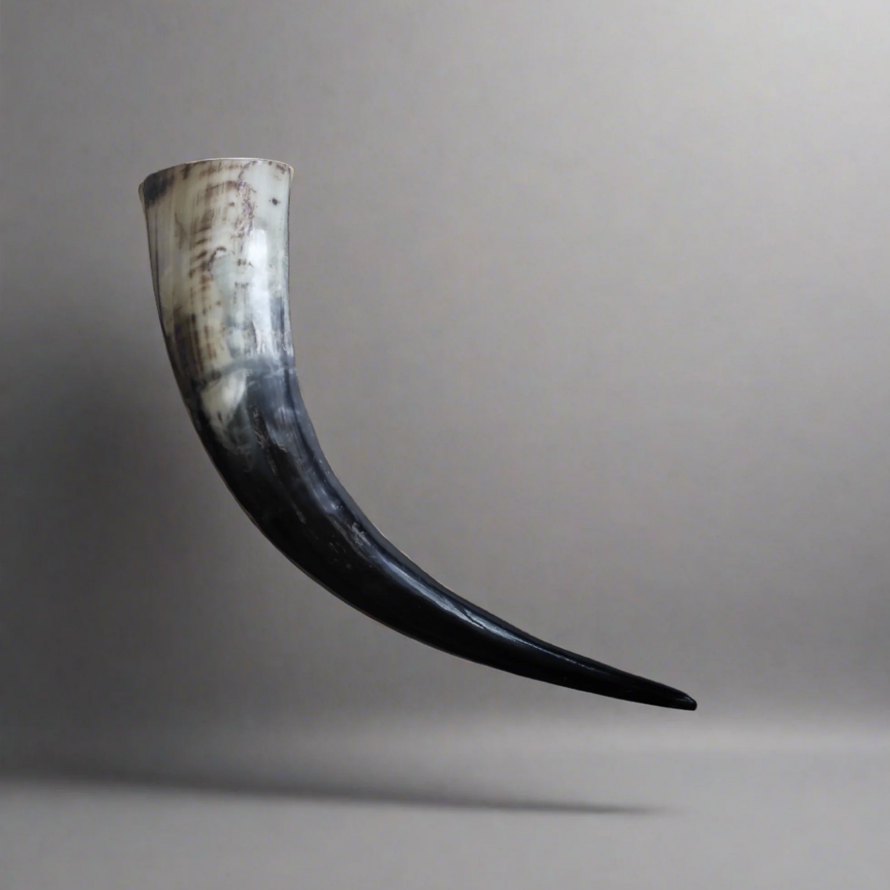 Polerat vikingadryckeshorn i organiskt oxhorn, 500 ml, med glans finish och klassisk nordisk design, perfekt för en krigarstorlek dryck