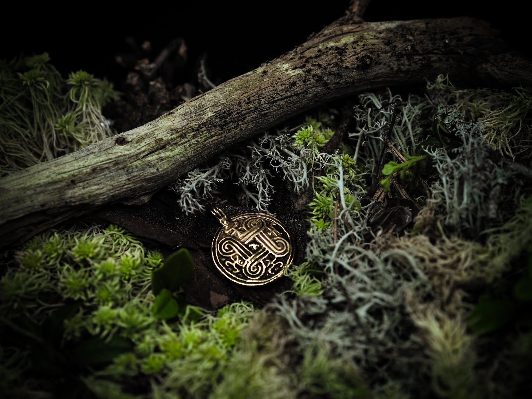 Cirkulär bronsbrakteat med forntida vikingknot på trädkvist omgiven av mossa
