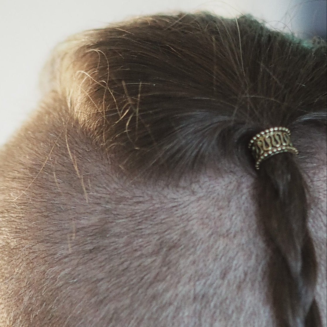 Skäggpärla-Tennan, skäggpärla i vikingastil.