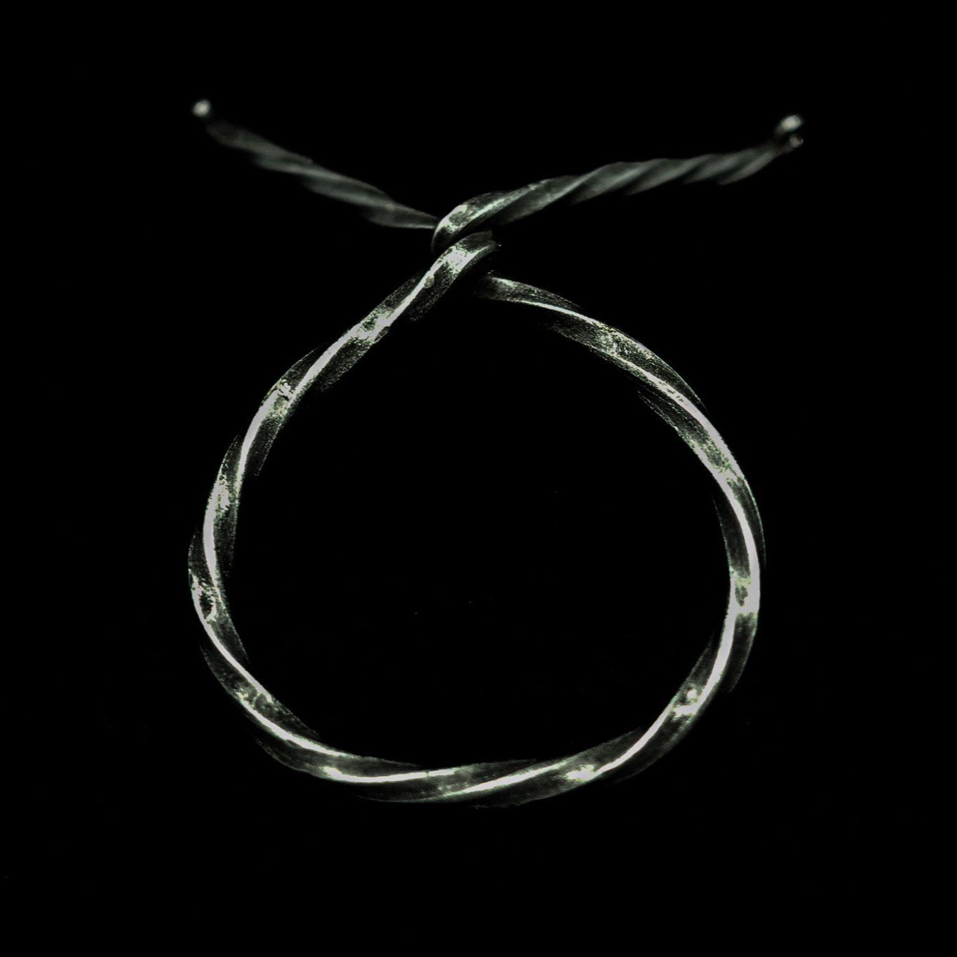 Översidesvy av polerad dryckeshorn i järnstativ på mörk bakgrund, visar hornets naturliga form och glans