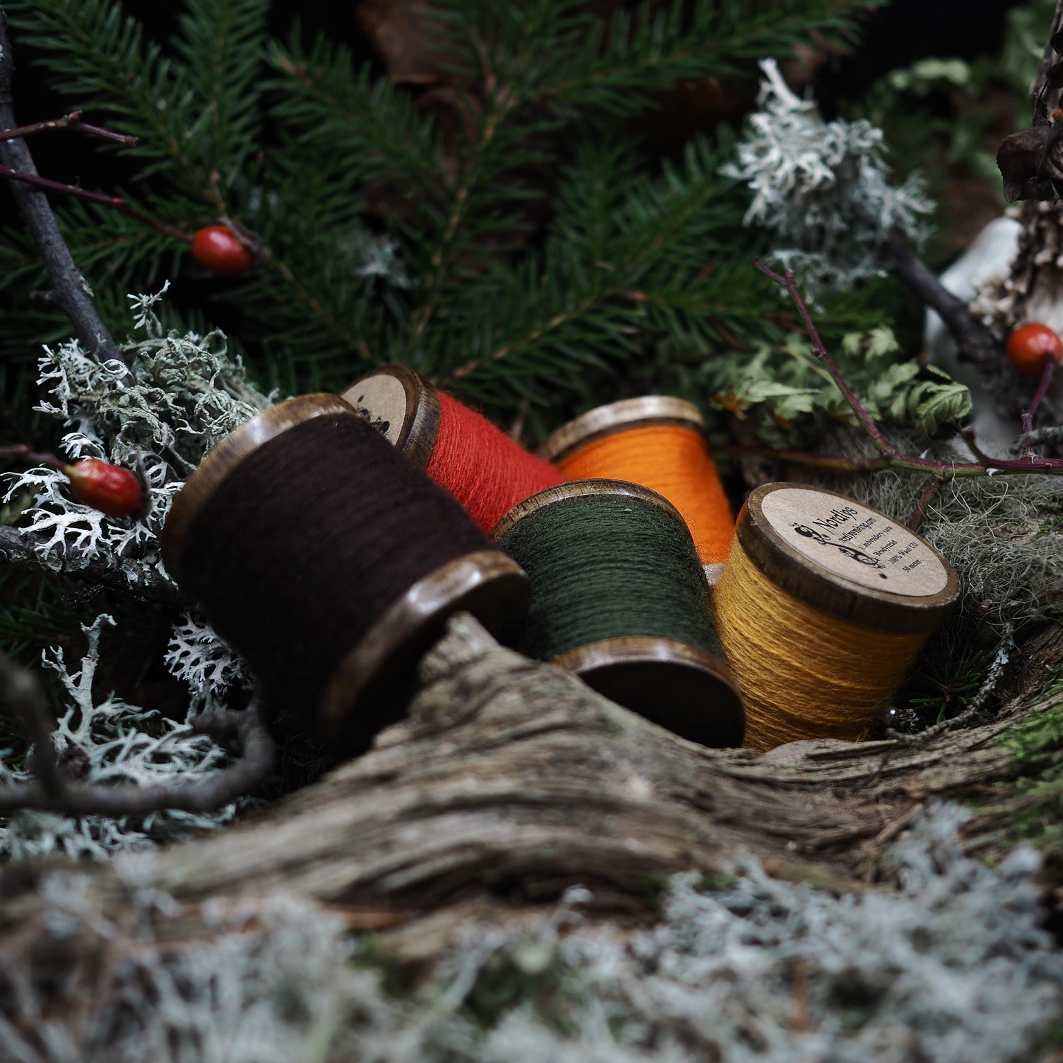 Several embroidery threads in different colors on wooden spools arranged on a tree stump in a forest setting with moss and berries