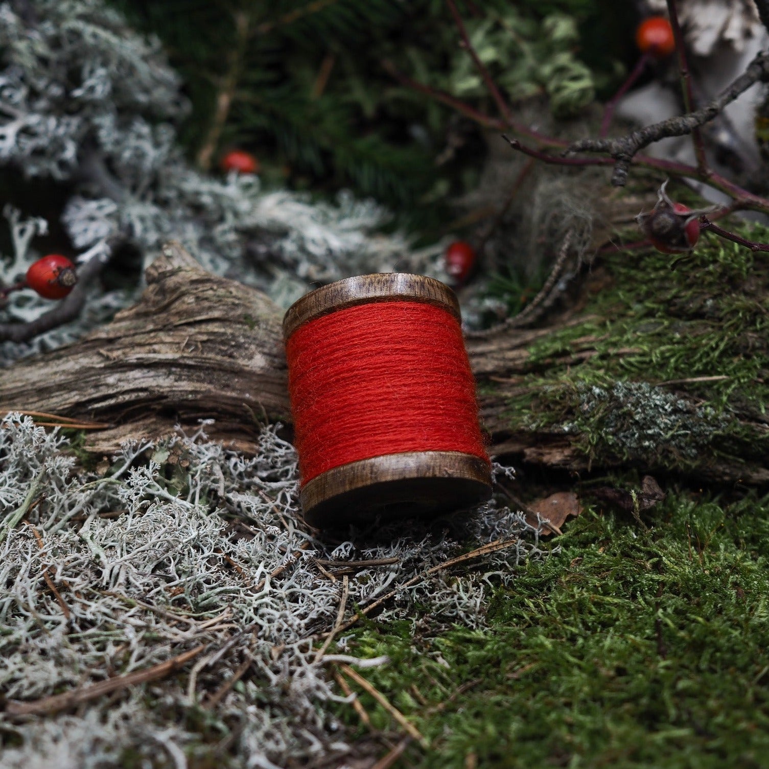 Red and orange wool embroidery thread spools nestled in moss, lichen, and forest floor with evergreen branches overhead