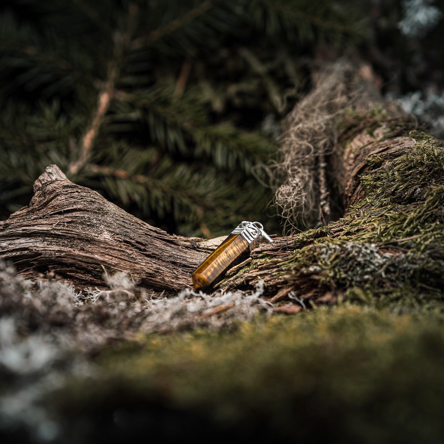 Tigeröga-hänge på en trädkvist täckt av mossa i naturlig skogsomgivning, visar stenens gyllene-bruna färg och naturliga strimmor
