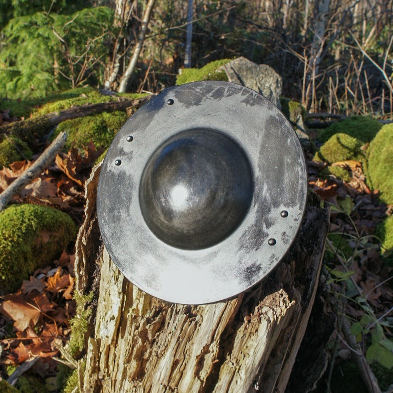 Metallskägg (buckler shield) framsida med central kula, monterad på träkvist i naturlig utomhusmiljö