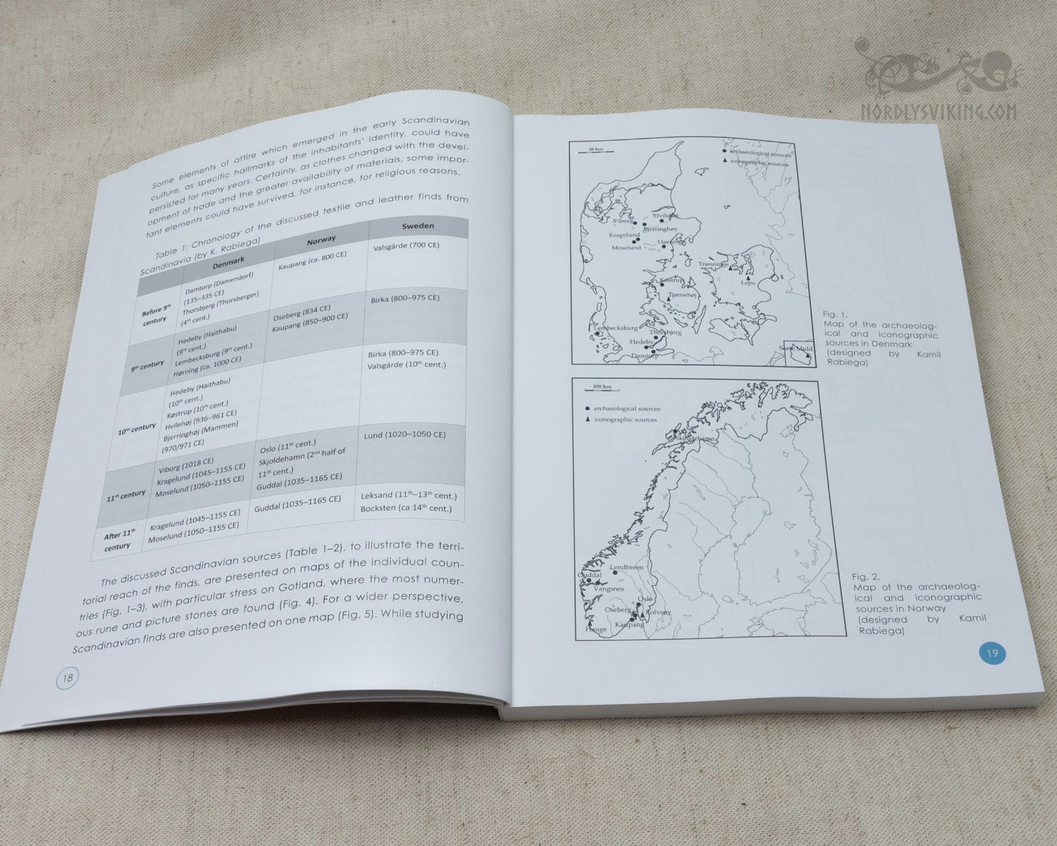Bok om vikingatida historia och kultur.