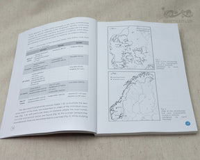 Bok om vikingatida historia och kultur.